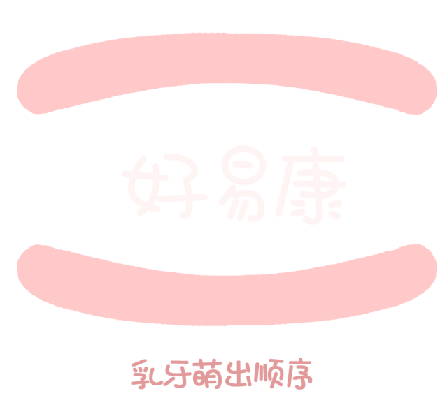 尚佳專業(yè)月嫂丨關(guān)于寶寶長(zhǎng)牙問(wèn)題，都在這里！